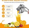 Stainless Steel Juicer